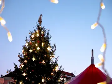 Riga Christmas Tree (flickr/janitors)