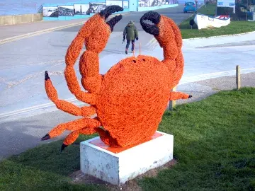 Crab on the corner - Des Blenkinsopp