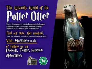 Moor Otter Promotional Poster