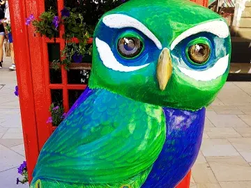 Owl in front of a telephone box