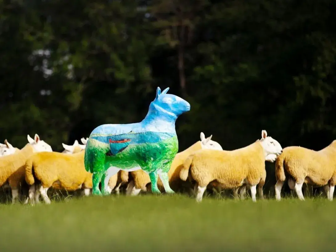 Flock to the Show Art Trail, Scotland (instagram/royalhighlandshow)