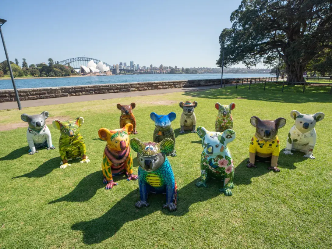 Koala sculptures on the lawn in front of the Sydney Opera House and Harbour Bridge (flickr/botanic-gardens-sydney)